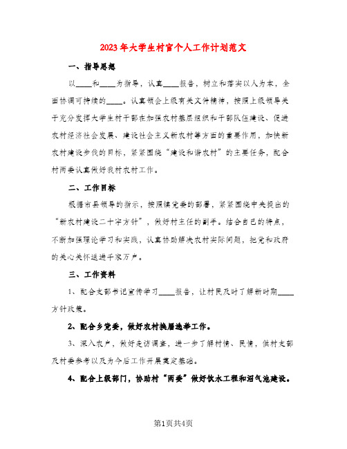 2023年大学生村官个人工作计划范文(三篇)