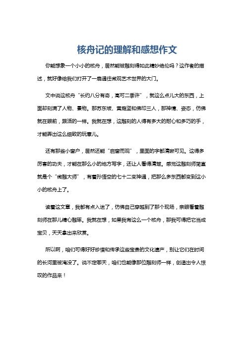 核舟记的理解和感想作文