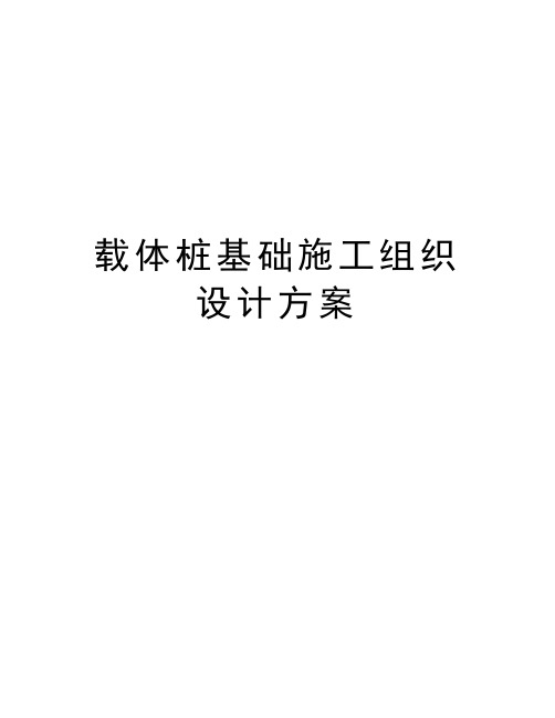 载体桩基础施工组织设计方案word版本
