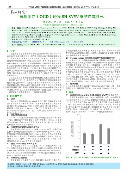 氧糖剥夺(OGD)诱导SH-SY5Y细胞自噬性死亡