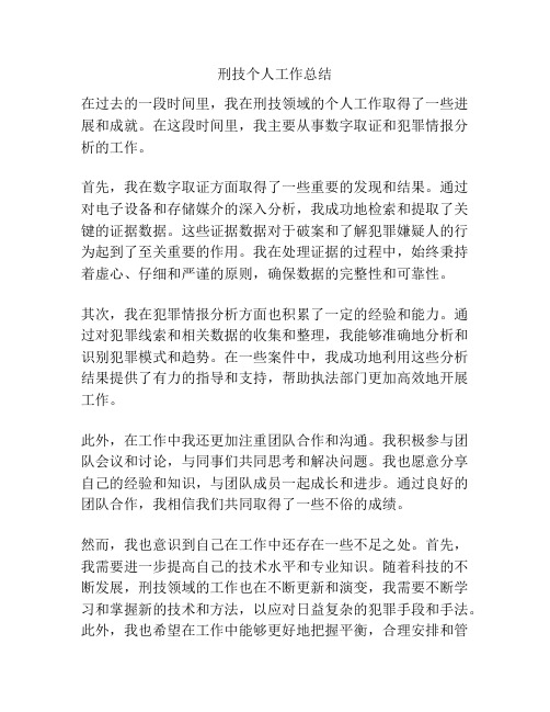 刑技个人工作总结