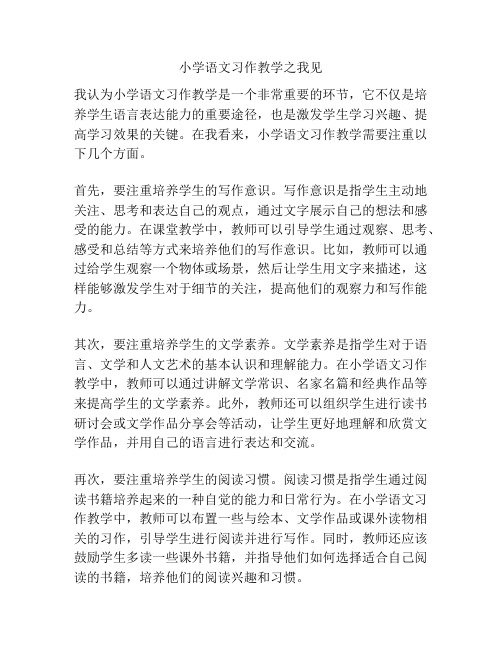 小学语文习作教学之我见