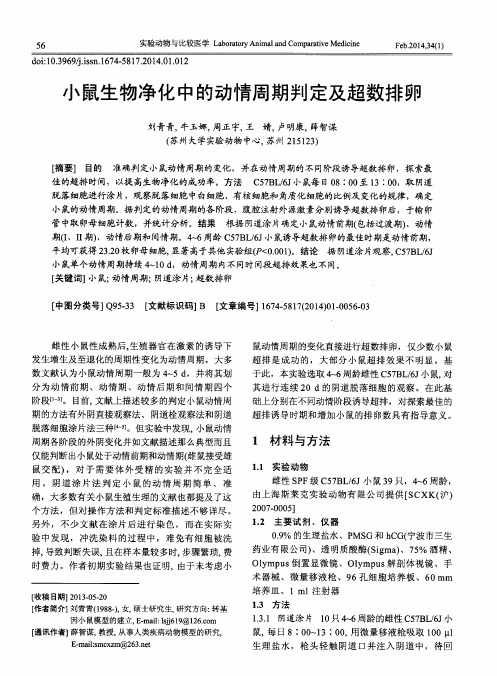 小鼠生物净化中的动情周期判定及超数排卵