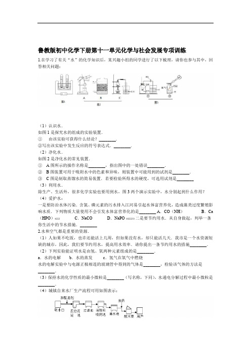 鲁教版初中化学下册第十一单元化学和社会发展专项训练