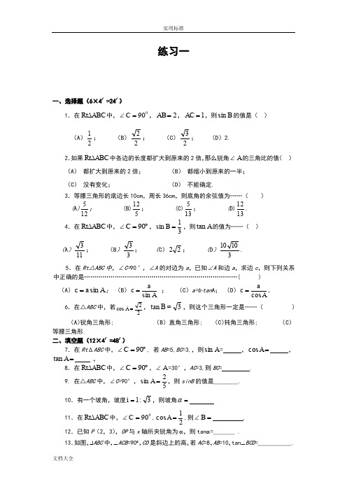 锐角三角比经典练习题附带问题详解(2套)