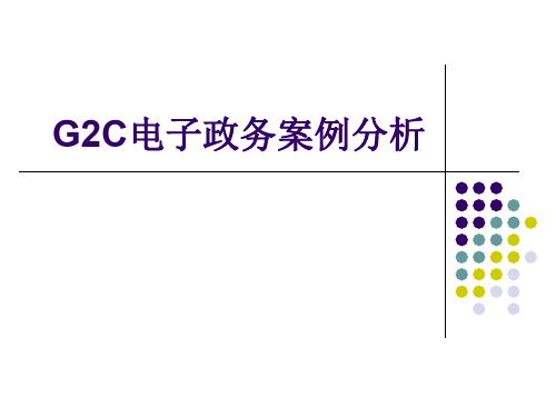 G2C电子政务案例分析