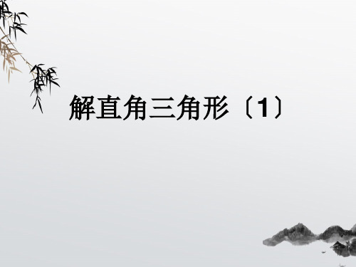 《解直角三角形》PPT课件 (公开课获奖)2022年青岛版 (2)