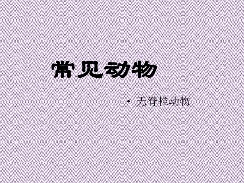 《常见的动物》课件1(17页)(浙教版七年级上)