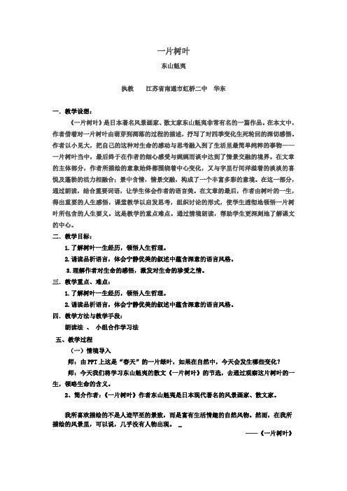 《一片树叶》教学设计