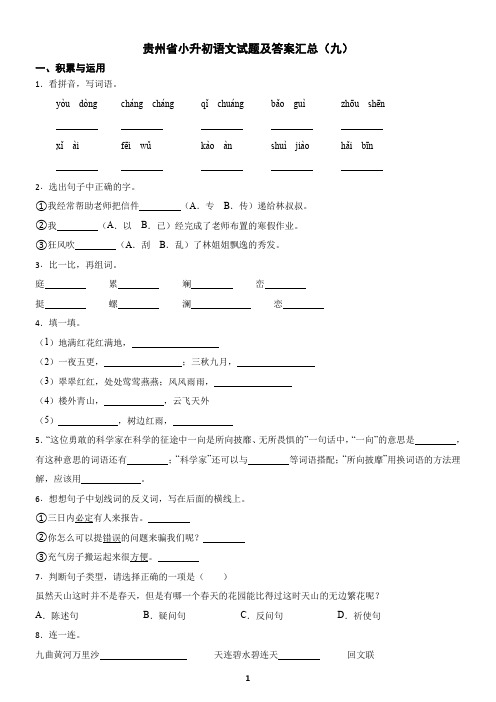 贵州省小升初语文试题及答案汇总(九)