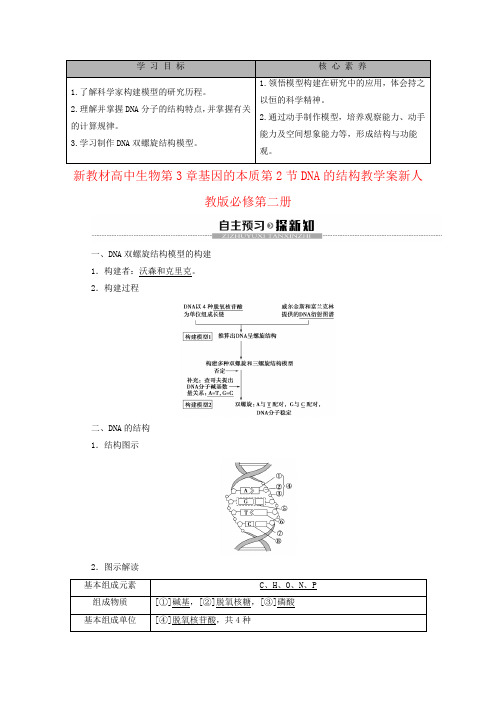 新教材高中生物第3章基因的本质第2节DNA的结构教学案新人教版必修第二册