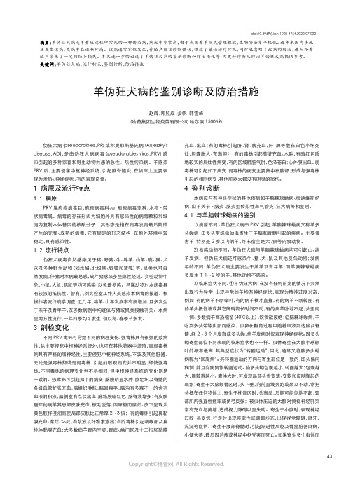 羊伪狂犬病的鉴别诊断及防治措施