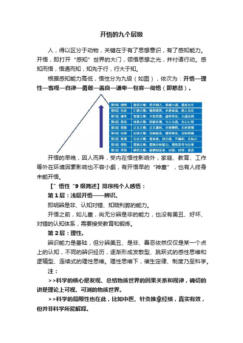 开悟的九个层级