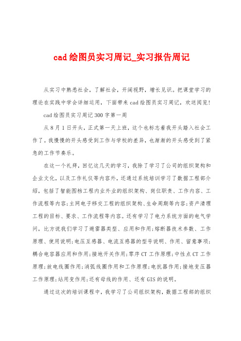 cad绘图员实习周记