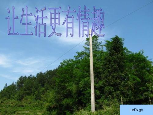 生活处处有情趣.ppt
