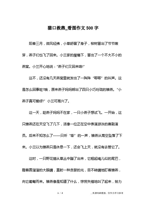 猫口救燕_看图作文500字