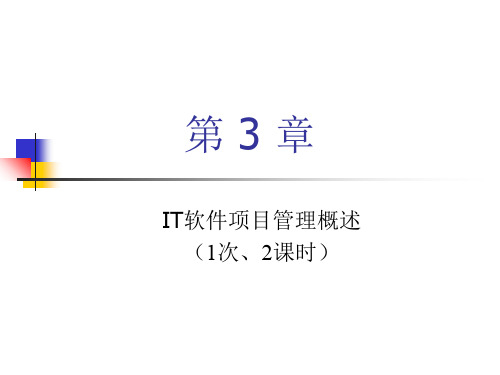 IT软件项目管理概述(PPT 18页)