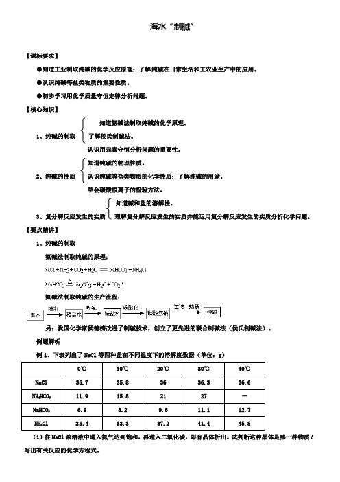 中考化学专题复习讲练 海水“制碱”