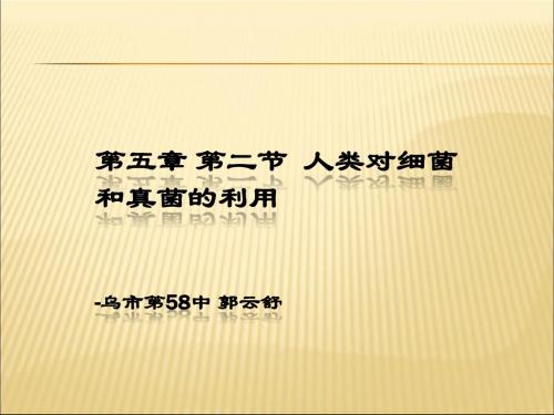 人教版八年级上册生物《人类对细菌和真菌的利用》课件