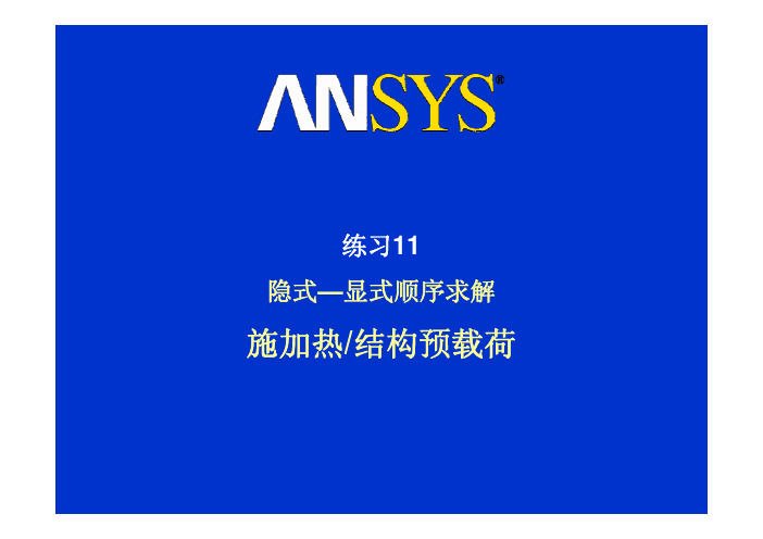 ANSYS Workbench 12.1 显示动力学 中文培训教程