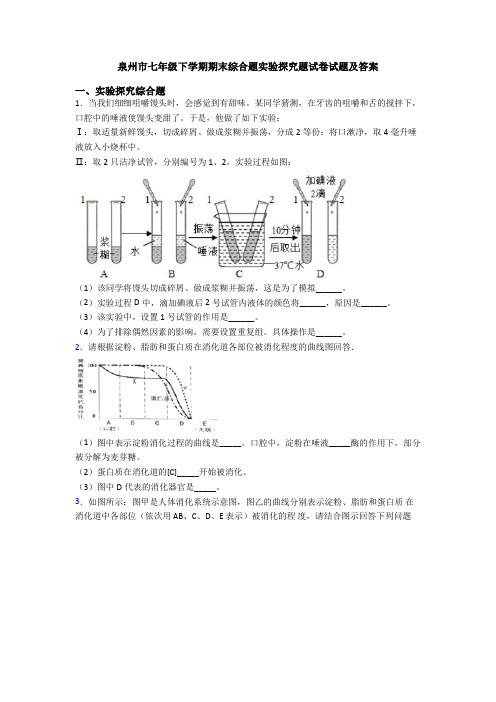 泉州市七年级下学期期末综合题实验探究题试卷试题及答案