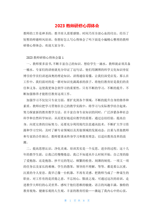 2023教师研修心得体会