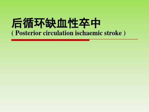 后循环缺血性卒中