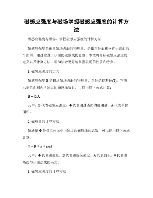 磁感应强度与磁场掌握磁感应强度的计算方法