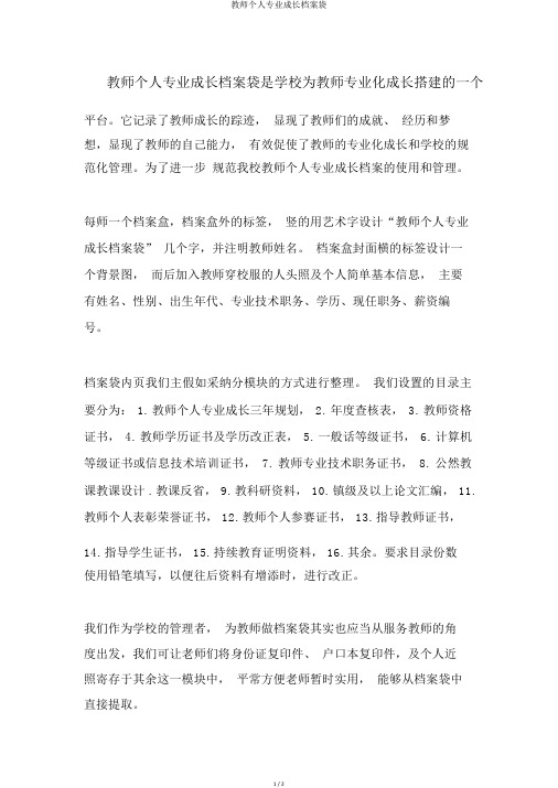 教师个人专业成长档案袋