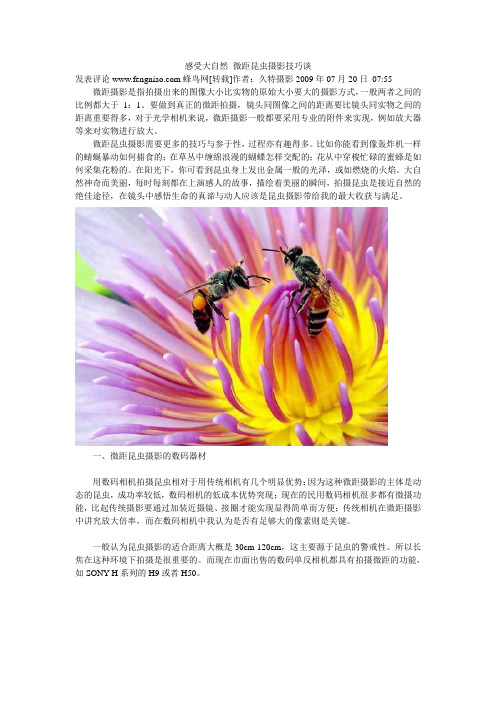感受大自然 微距昆虫摄影技巧谈