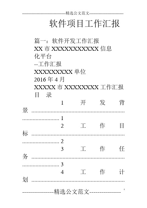 软件项目工作汇报