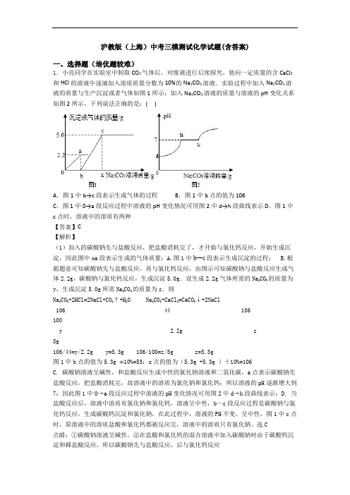 沪教版(上海)中考三模测试化学试题(含答案)