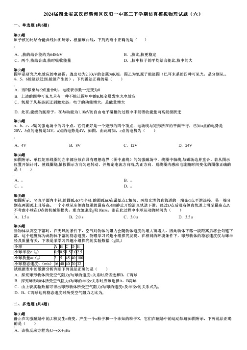 2024届湖北省武汉市蔡甸区汉阳一中高三下学期仿真模拟物理试题(六)