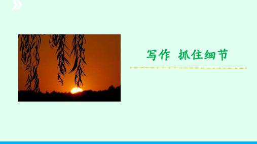 写作《抓住细节》课件(共37张ppt)