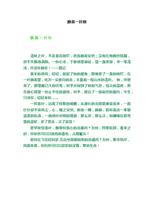 静美一叶秋