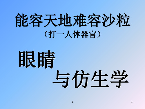 [高中教育]上课用的眼睛与仿生学