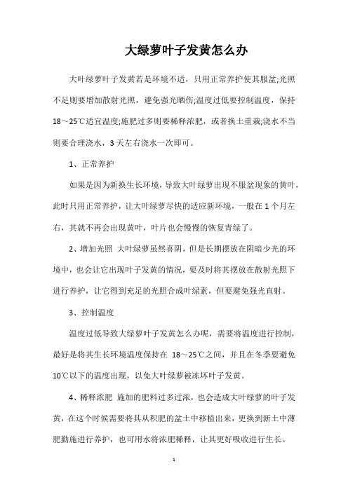 大绿萝叶子发黄怎么办