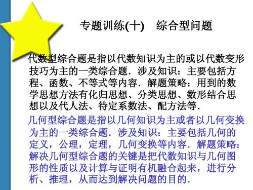 2011中考数学全套复习课件(共52)专题10