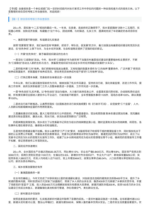 综合目标考核工作自查报告