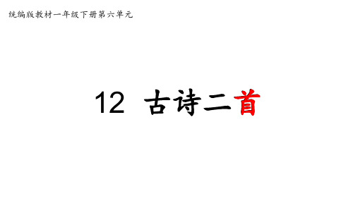 统编语文一年级下册12古诗二首：池上+小池