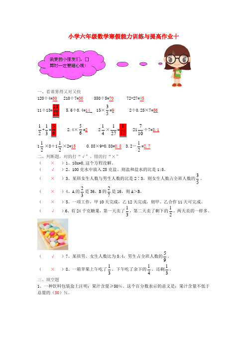 六年级数学寒假能力训练与提高1510 苏教版