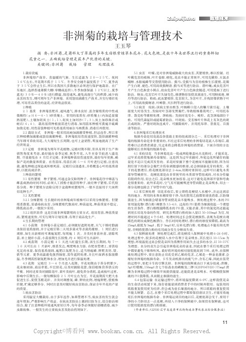 非洲菊的栽培与管理技术