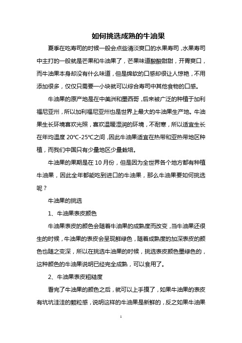 如何挑选成熟的牛油果_0