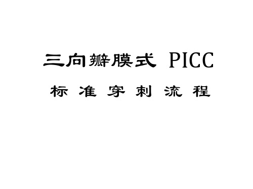 〖医学〗三向瓣膜式PICC