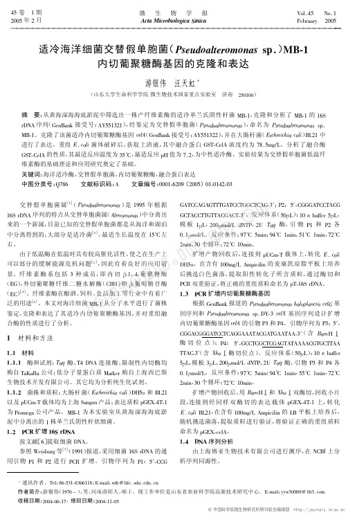 适冷海洋细菌交替假单胞菌(Pseudoalteromonas sp.)MB-1内切葡聚糖酶基因的克隆和表达