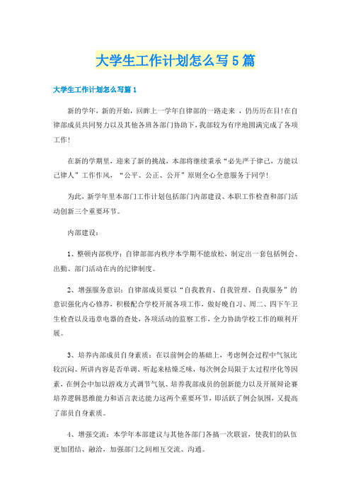 大学生工作计划怎么写5篇