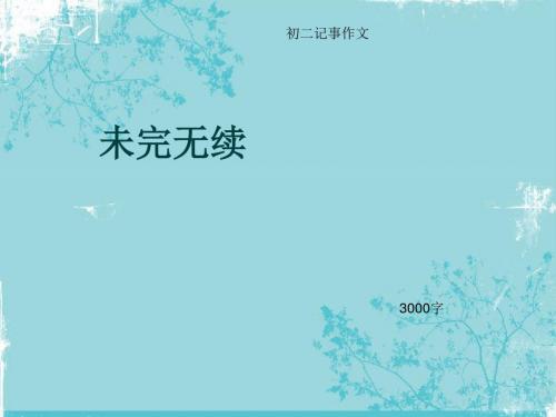 初二记事作文《未完无续》3000字(总22页PPT)