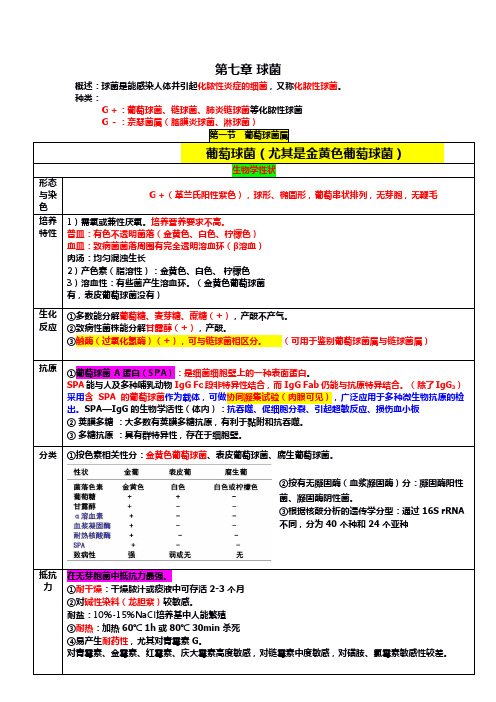 医学微生物学  细菌各论