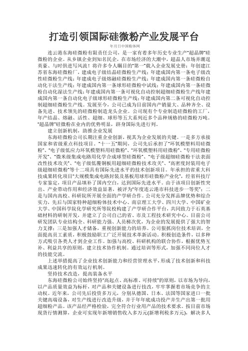 打造引领国际硅微粉产业发展平台