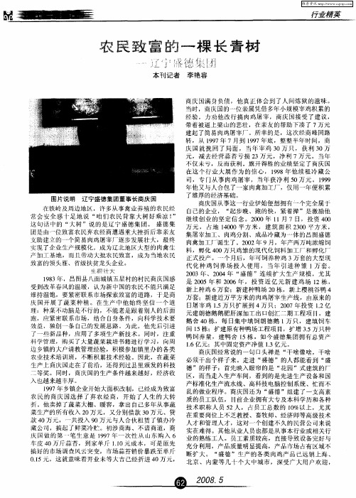 农民致富的一棵长青树——辽宁盛德集团